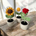 Daisy pot